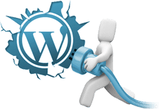 WordPress Plugin Development 1